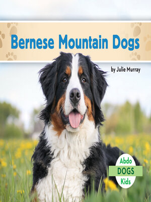 cover image of Bernese Mountain Dogs